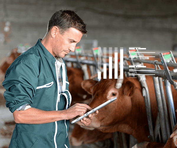 expert-comptable-agriculture Expert-Comptable pour agriculteur